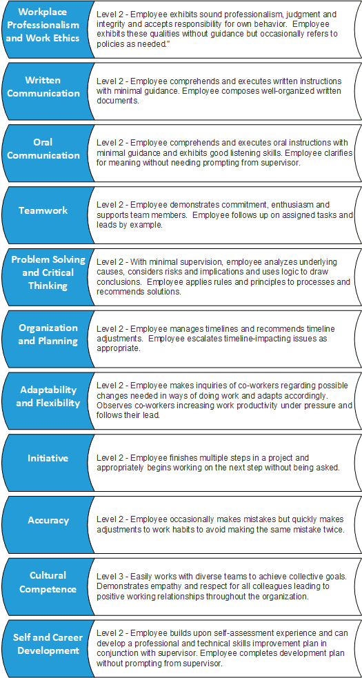 technical-supportemployability-skills-national-convergence-technology