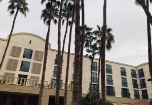 Photo of the outdoor hotel courtyard - with palm trees - that hosted the March 2023 Innovations conference.